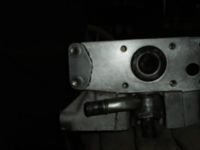 p404956_8.jpg