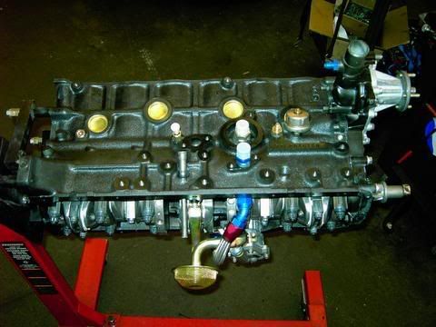 p415990_8.jpg