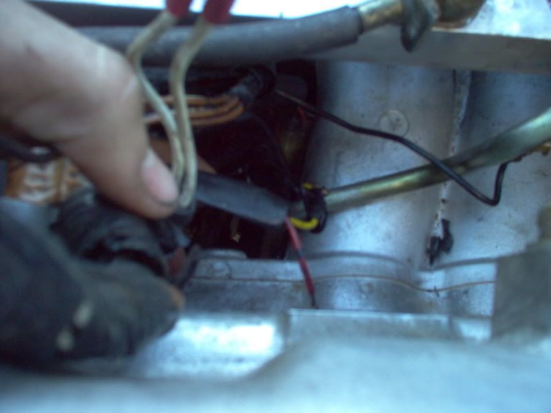 p421706_1.jpg