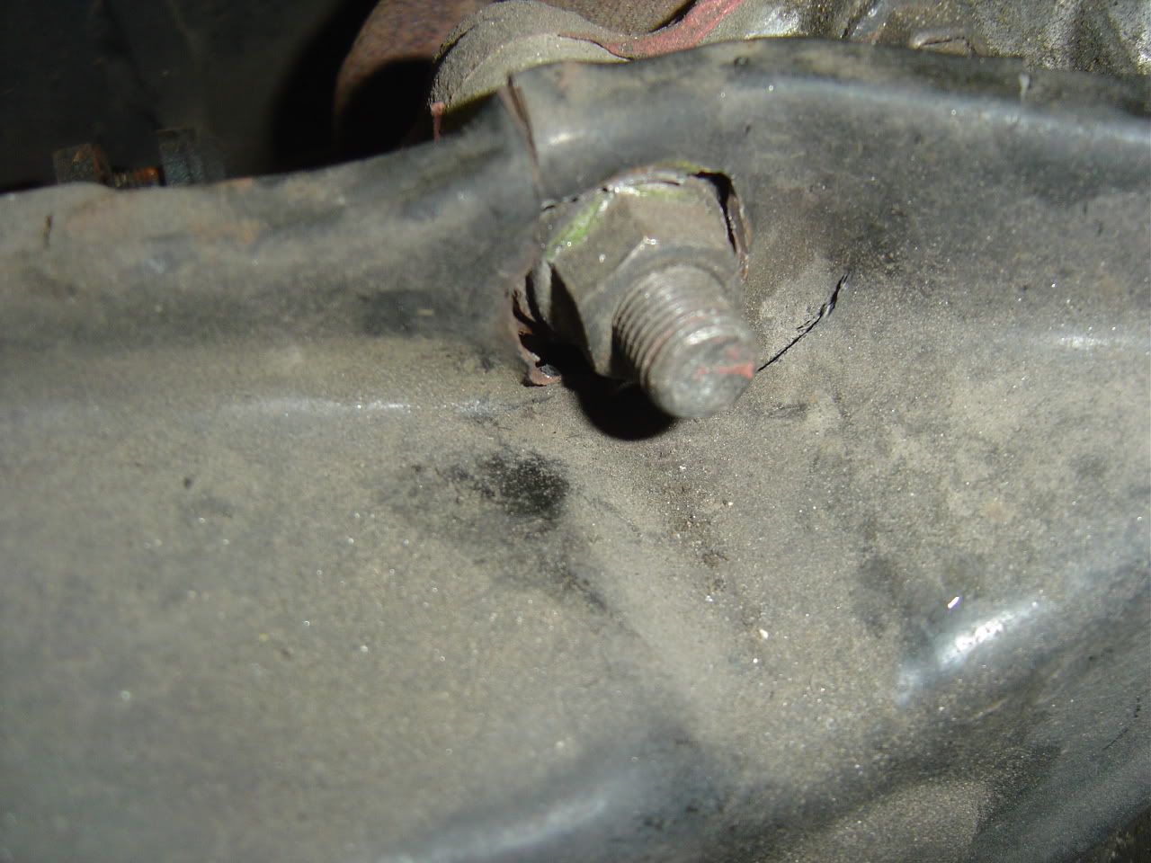 p429886_3.jpg