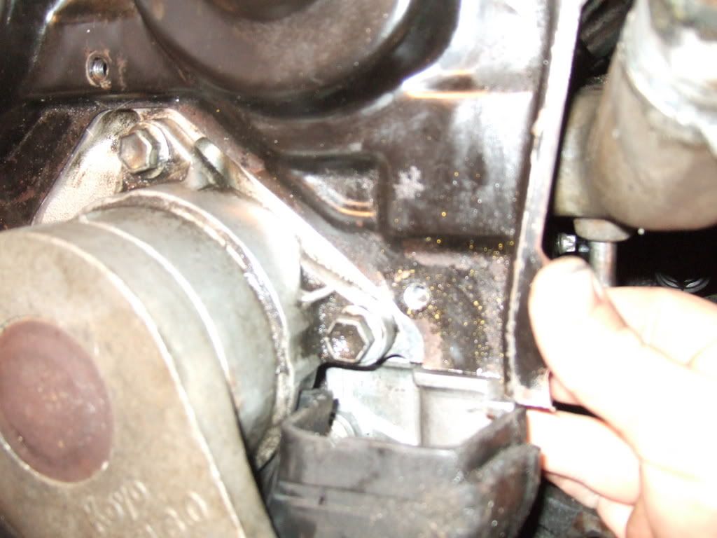 p436321_3.jpg