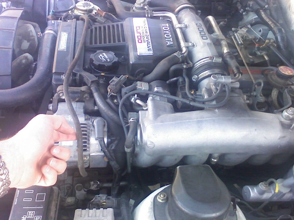 p444255_2.jpg