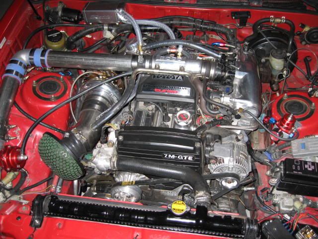 p444764_1.jpg
