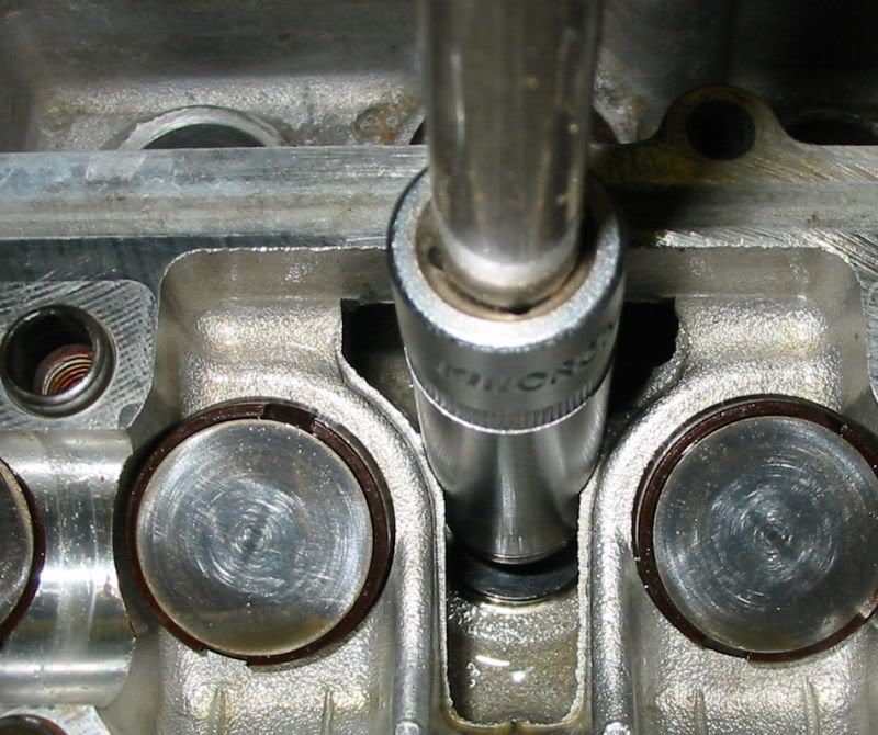 p451411_3.jpg