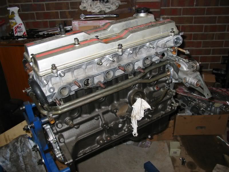 p451411_4.jpg