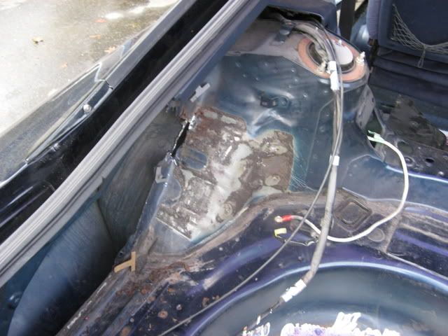 p455127_1.jpg