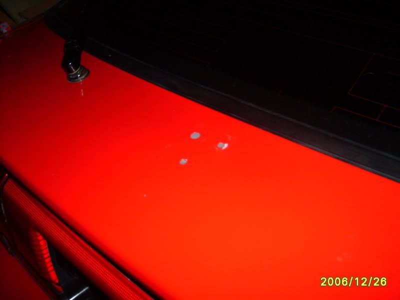 p464886_2.jpg