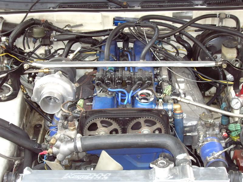 p472695_1.jpg