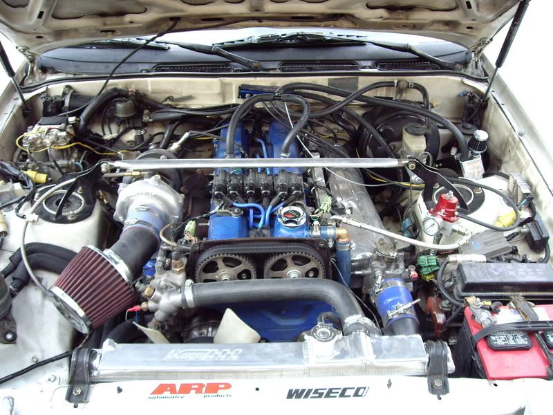 p472695_6.jpg