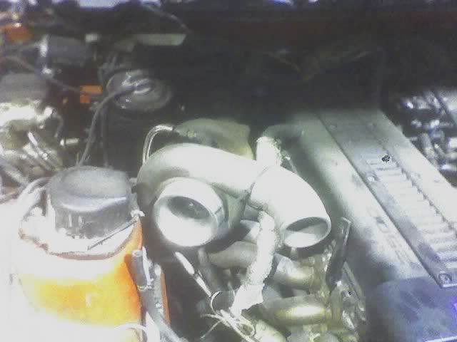 p490731_2.jpg