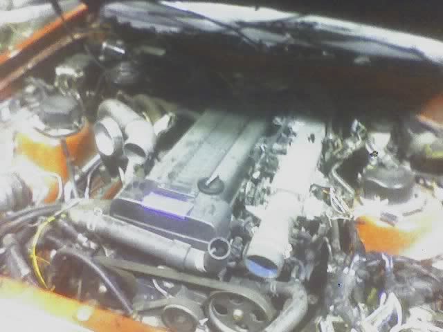 p490731_4.jpg