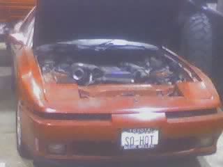 p490731_7.jpg