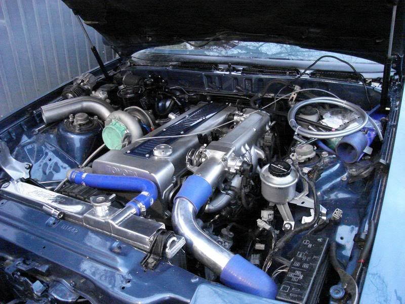 p491843_3.jpg