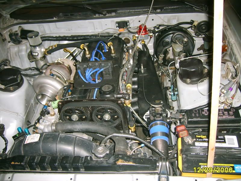 p493272_1.jpg