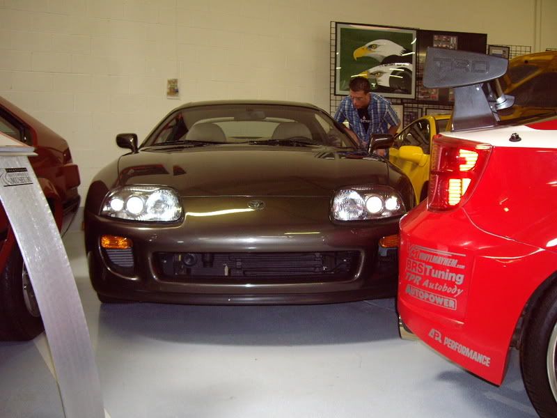 p502429_7.jpg