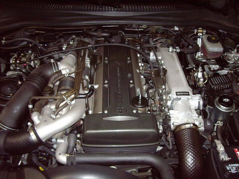 p502429_8.jpg