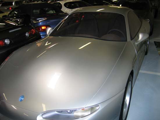 p502456_1.jpg