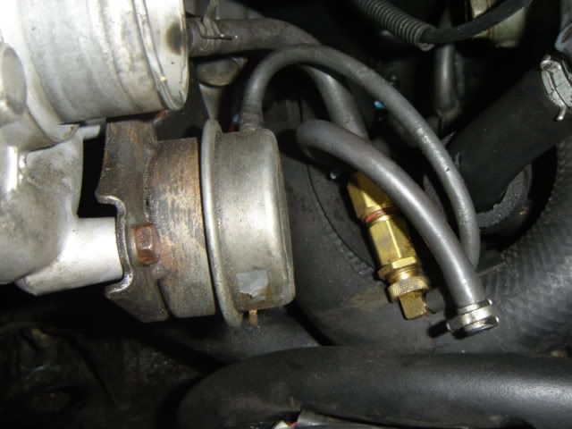 p507414_1.jpg