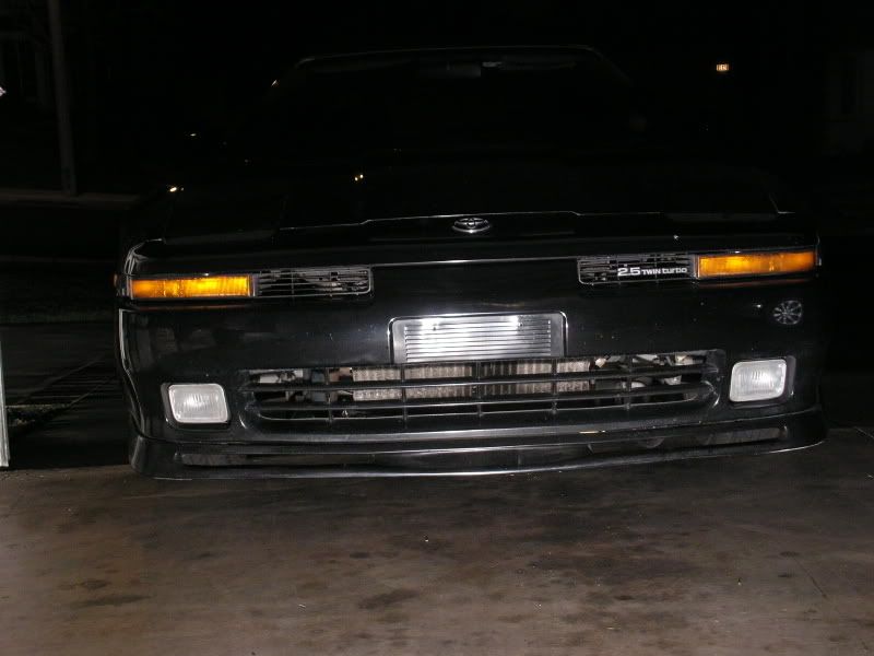 p507904_3.jpg