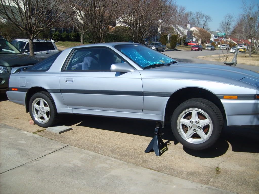 p513816_5.jpg
