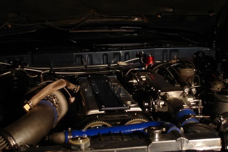 p519097_2.jpg