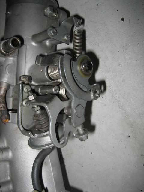 p519739_1.jpg