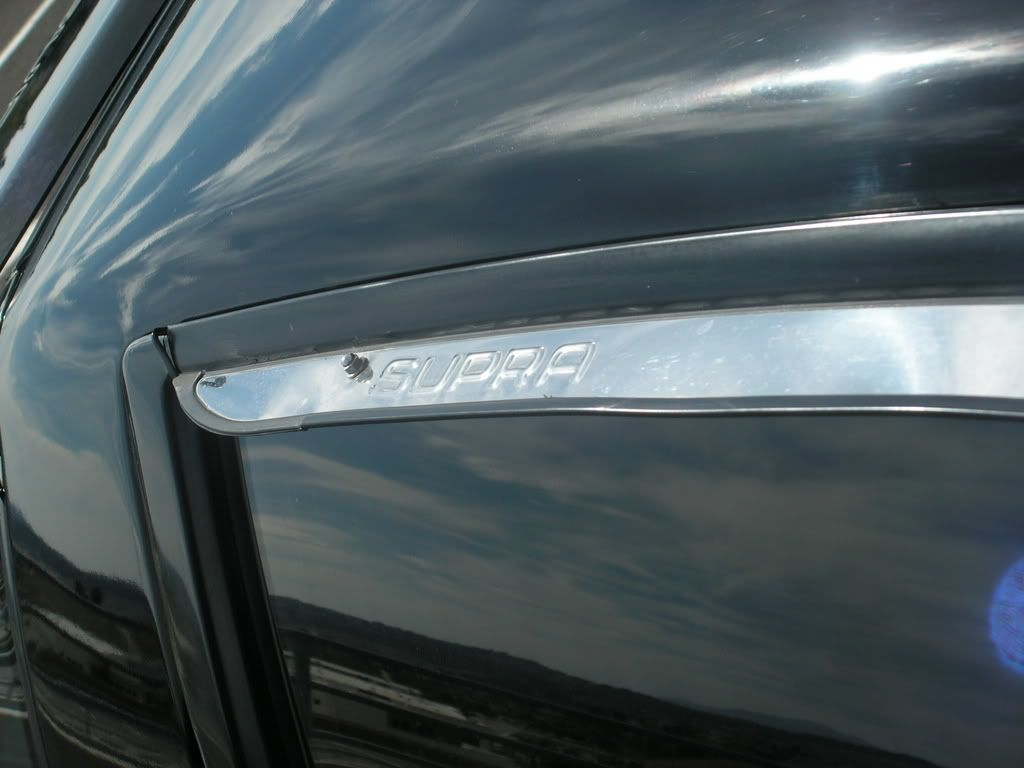 p521775_1.jpg