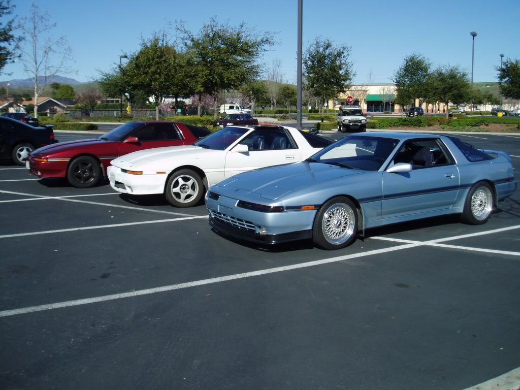 p522521_1.jpg