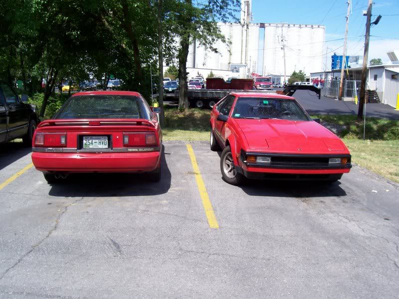 p523184_2.jpg
