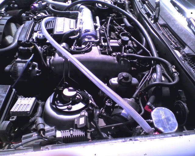 p523453_1.jpg