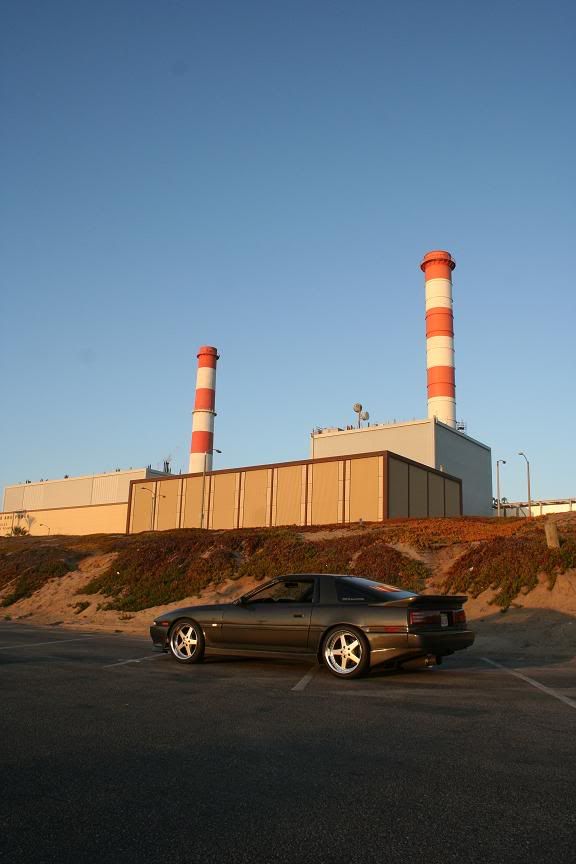 p525229_5.jpg