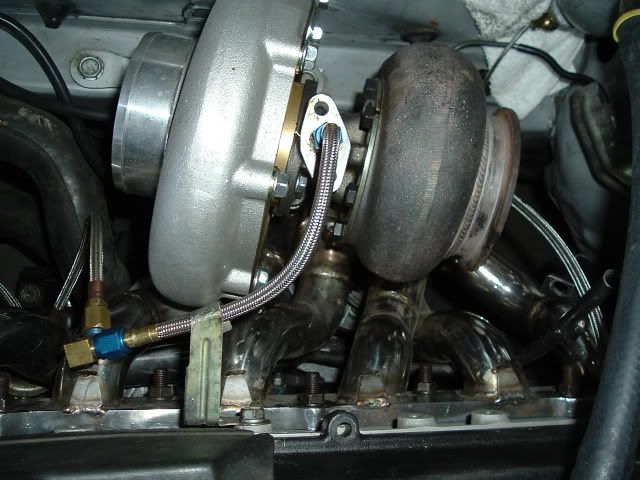 p529230_1.jpg
