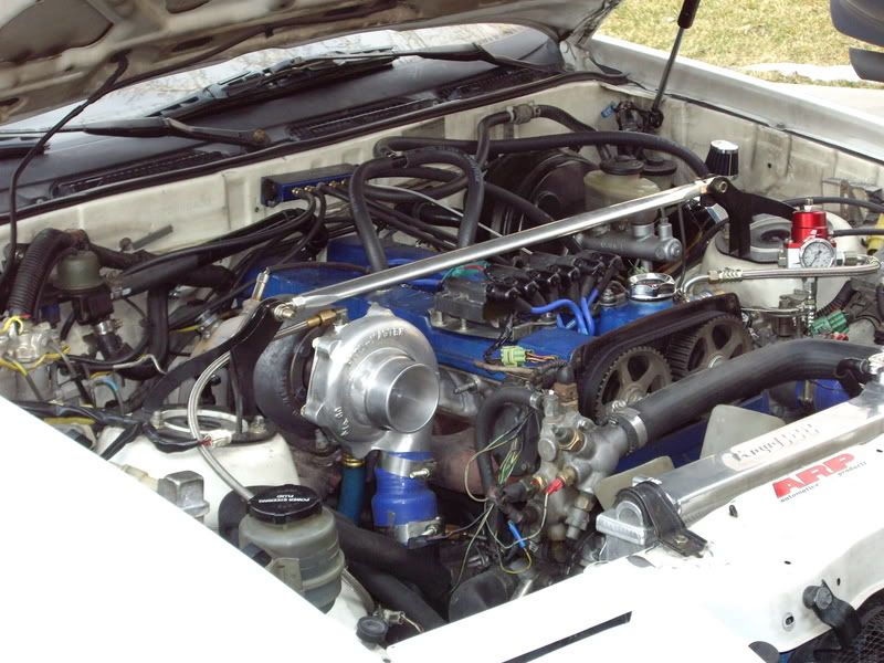 p539004_2.jpg
