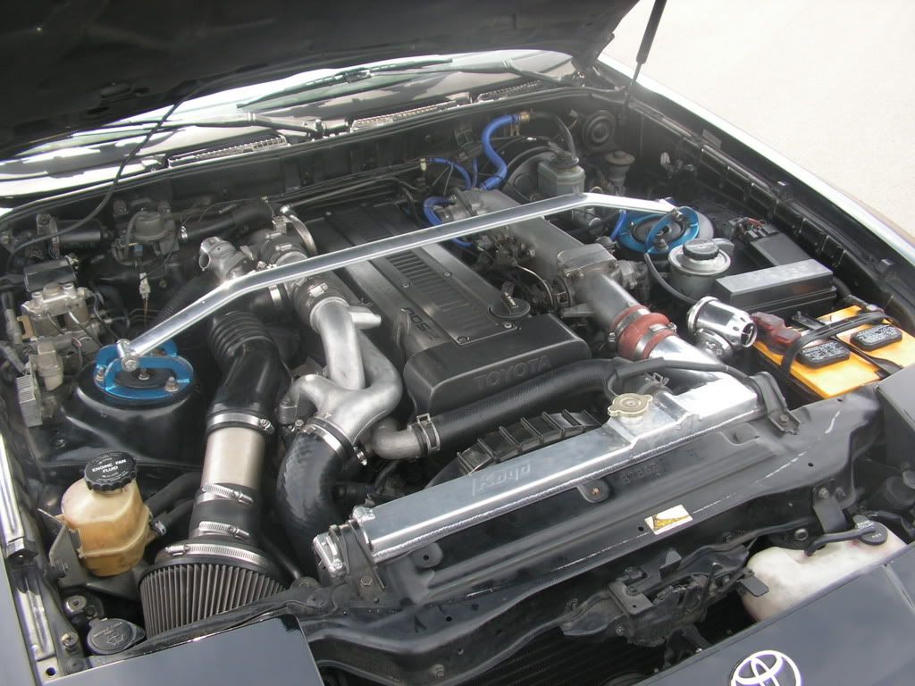 p539531_1.jpg