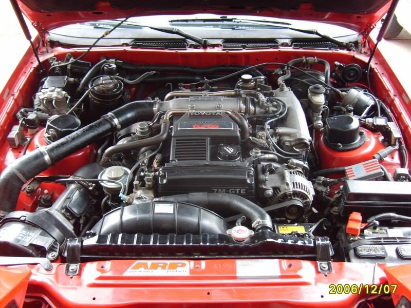 p541251_1.jpg