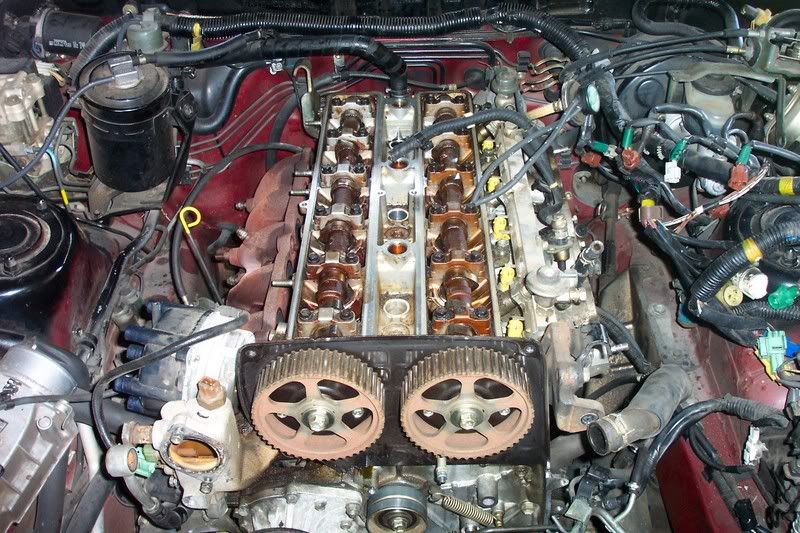p553990_1.jpg