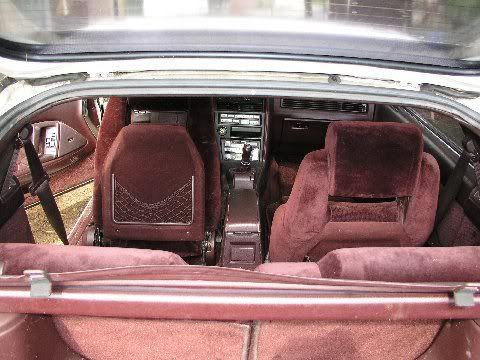 p554274_9.jpg