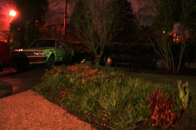 p556215_3.jpg