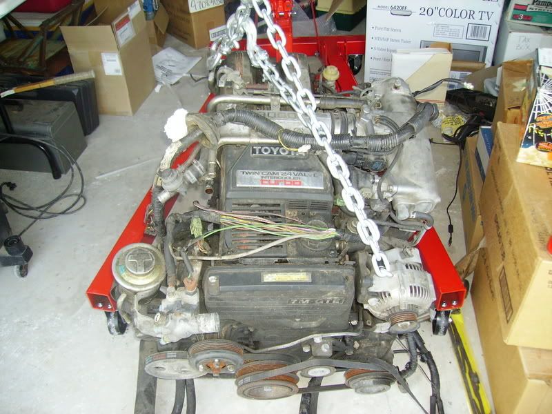 p557012_2.jpg