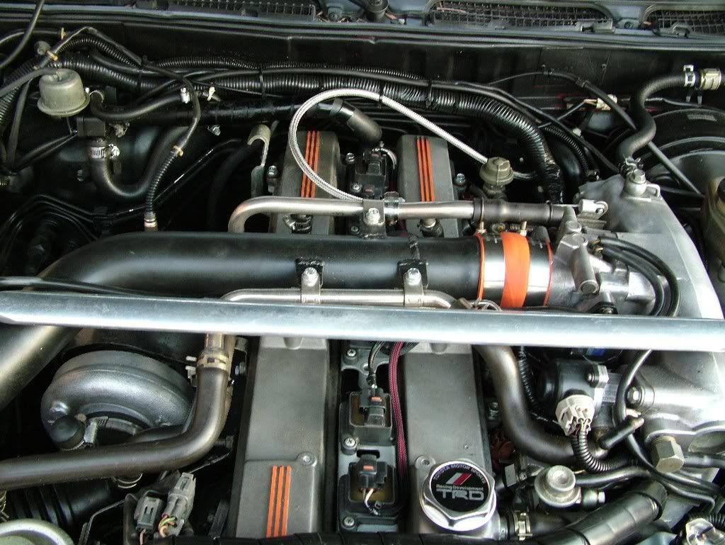p559659_1.jpg