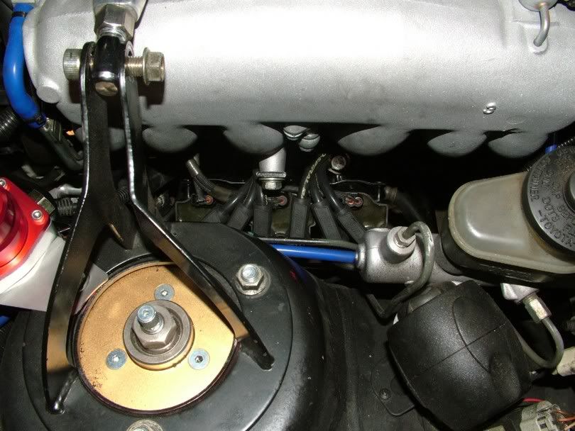 p559961_2.jpg