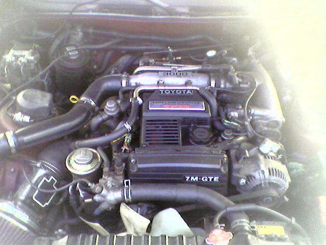 p562489_5.jpg