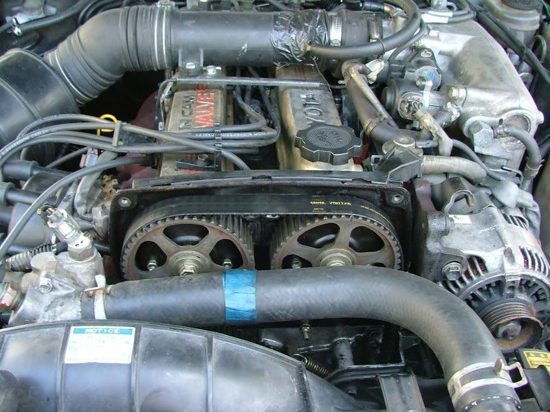p567277_1.jpg