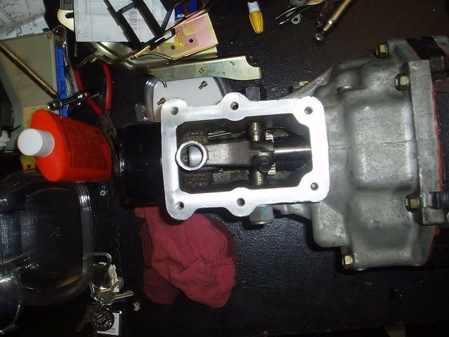 p568590_1.jpg