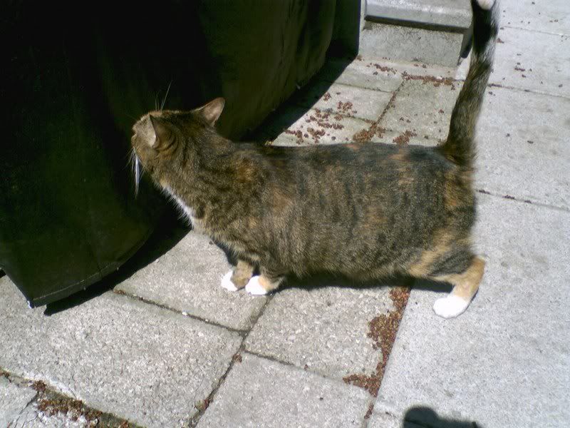 p570538_1.jpg
