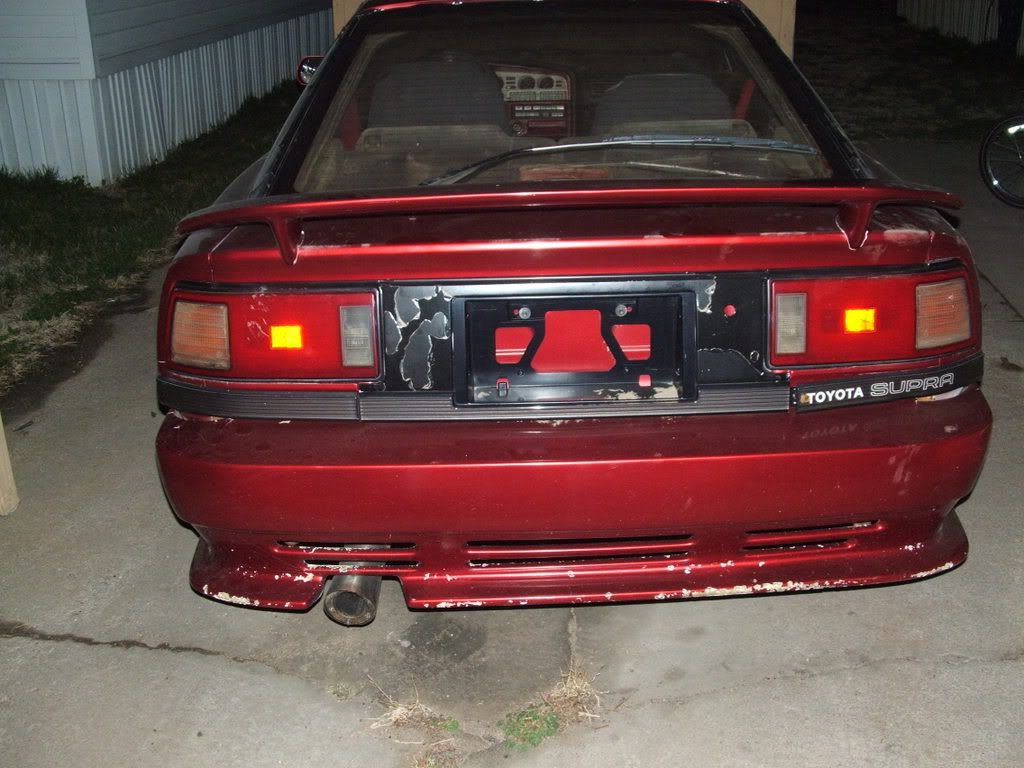 p570639_3.jpg