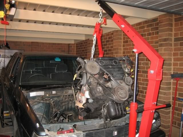 p575648_4.jpg