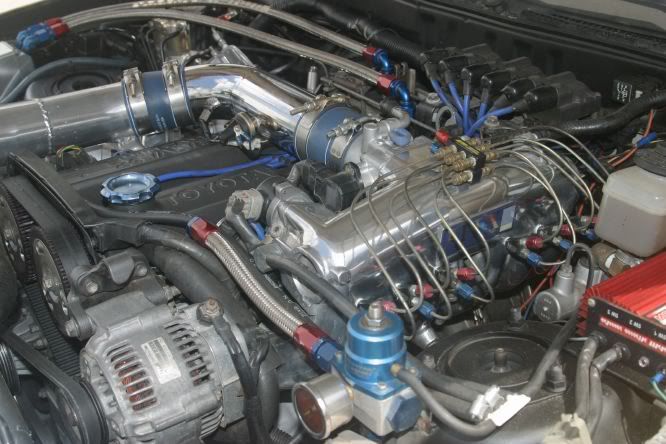 p584684_1.jpg