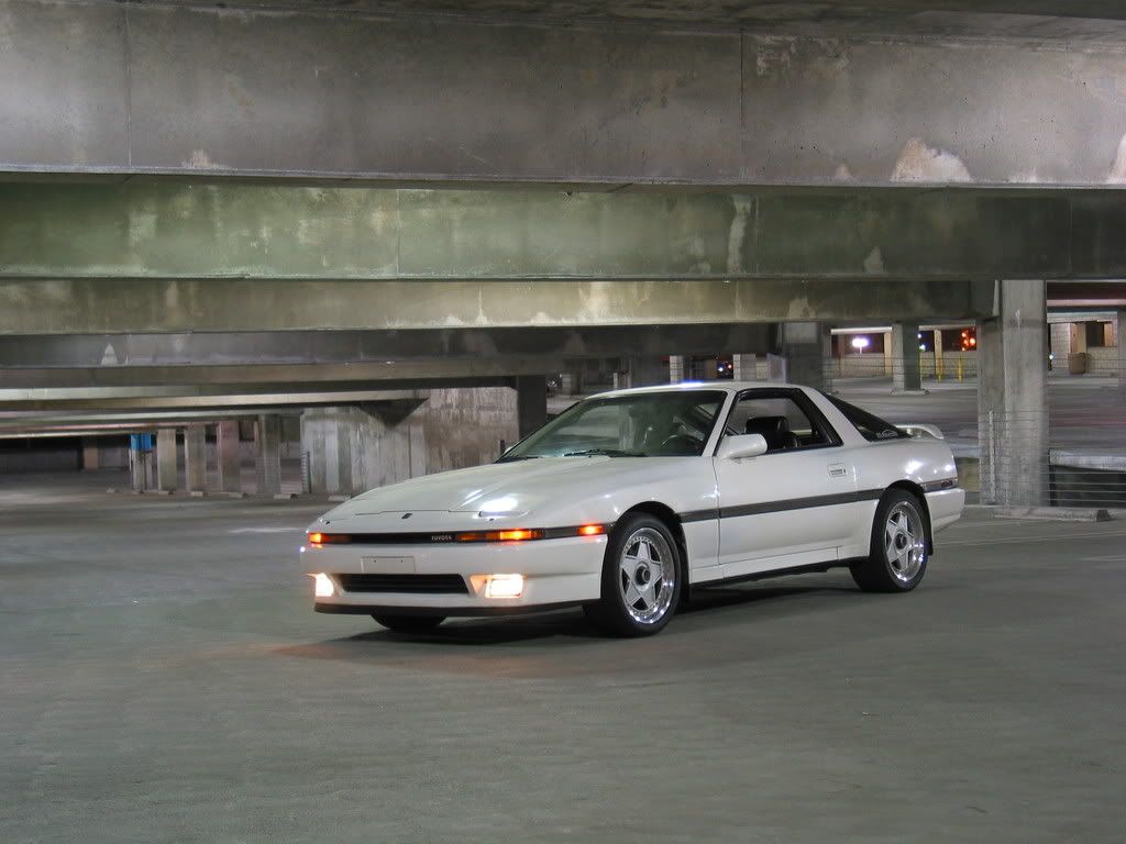 p585198_1.jpg