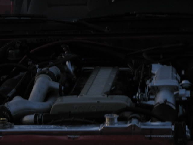 p595079_6.jpg